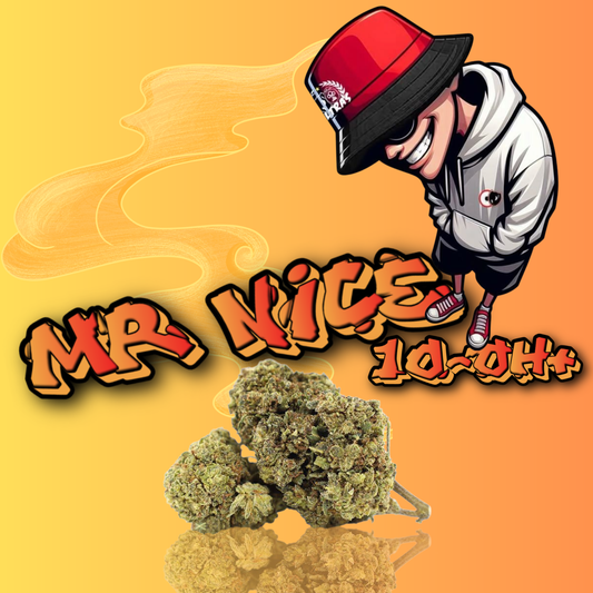 MR NICE 10-OH+