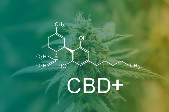 CBD+ : Le CBD nouvelle génération pour des effets amplifiés