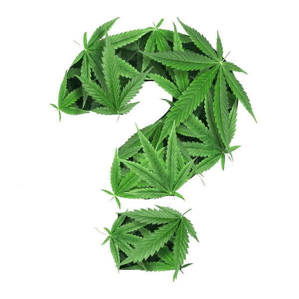 "Comment bien choisir son CBD ? Le guide débutant 2025"