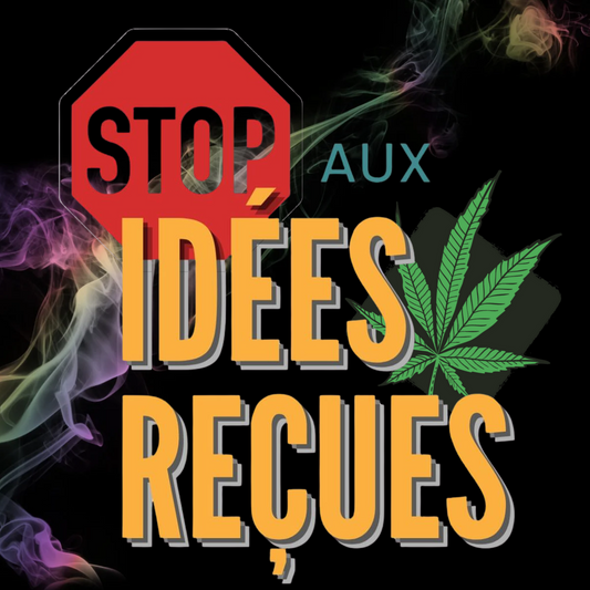 Les idées reçues sur le CBD : démêlons le vrai du faux