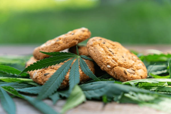 🍪&nbsp;Tout savoir sur les Cookies au CBD – Une pause gourmande et relaxante