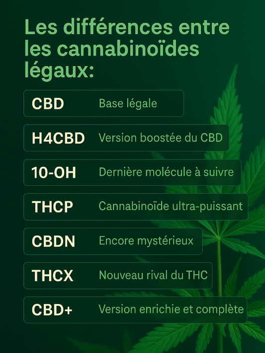 🧠 Les différences entre les cannabinoïdes légaux : CBD, H4CBD, THCP, CBDN, THCX, CBD+…