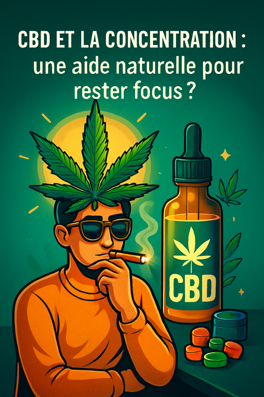 Le CBD et la concentration : une aide naturelle pour rester focus ?