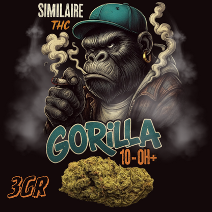 GORILLA GLUE 10-OH+