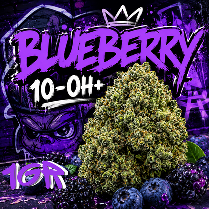 BLUEBERRY 10-OH+