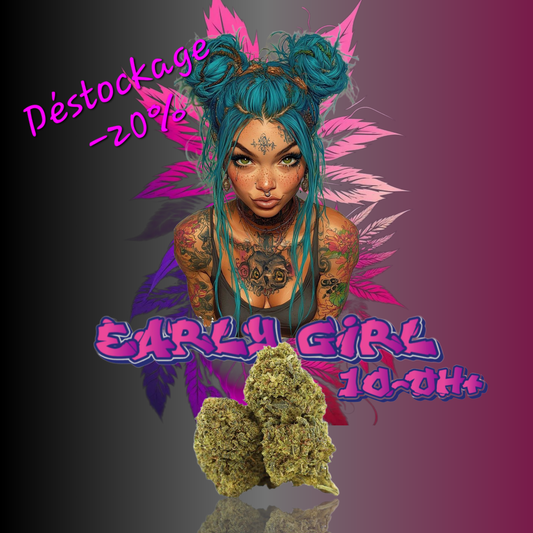 EARLY GIRL 10-OH+